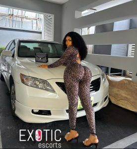 algiers escort ahg