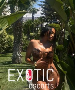 Drâa–Tafilalet escort