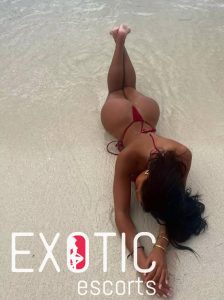 Laâyoune–Sakia El Hamra escorts