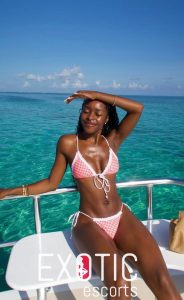 Niamey escort