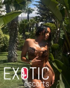 Gauteng escort